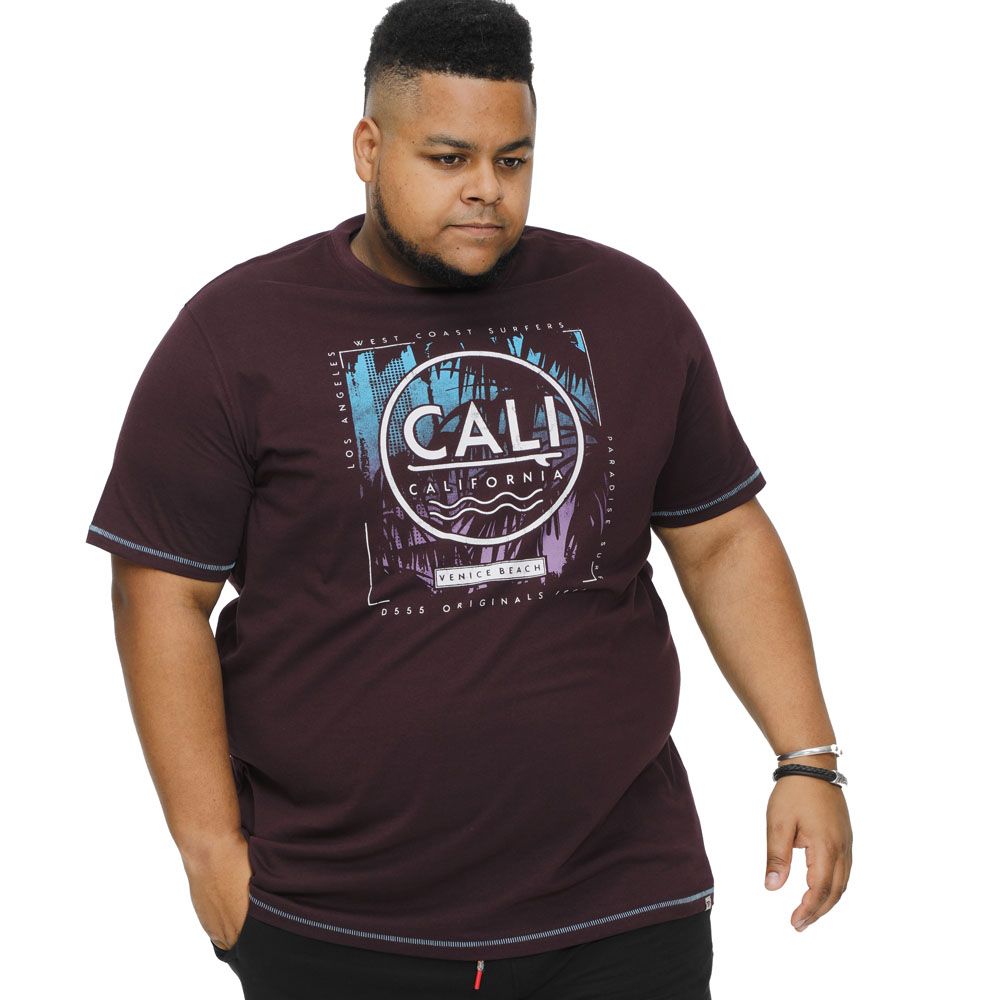 A11298XT Tall Fit D555 Cali Surf Printed T-Shirt