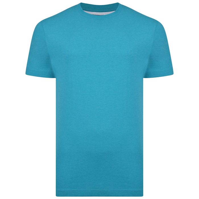 A9974 John Banks Plain Crew Neck T-Shirt (Blue)