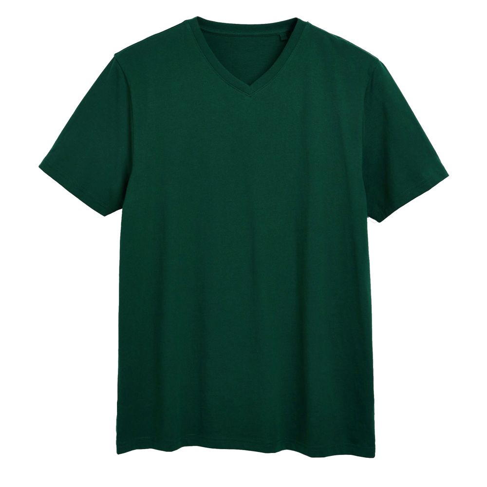 A10596 Cotton Valley Plain V-Neck T-Shirt (Moss)